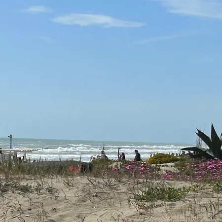 Le Terrazze Beachfront, Balcony, Parking, Private Access * Torvaianica