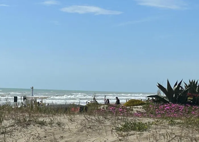 Le Terrazze Beachfront, Balcony, Parking, Private Access * Torvaianica