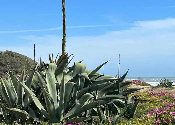 Apartman Le Terrazze Beachfront, Balcony, Parking, Private Access Torvaianica